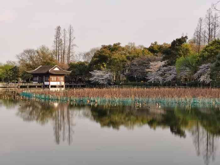 福井杭州图片