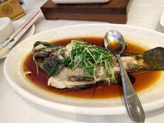清蒸石斑鱼-金翠皇宫粤菜·点心·海鲜(科技园店)