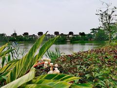-美的鹭湖森林度假区