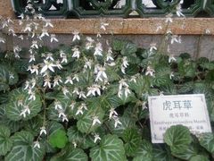 android_upload_pic-广州神农草堂中医药博物馆