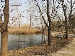 -淇河国家湿地公园