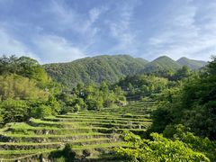 -石台牯牛降景区