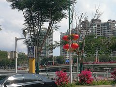 -金鸡岭桥头公园