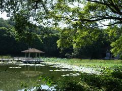 景点-广州莲花山旅游区