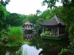 -叶家花园