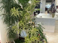 -花辰月夕花坊(北滨路店)