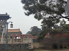 -北陵公园