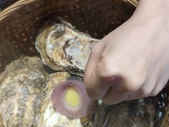 -蚝堡海鲜·威海菜·海肠捞饭·烧烤·亚洲吃蚝公司(幸福门店)