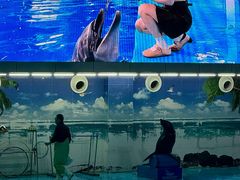 -合肥海洋世界