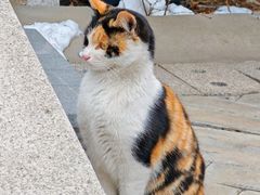 -天津妈祖文化园