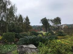 -铁山坪森林公园