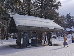-北海道神宫