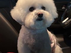 -comecome来吧宠物(奥克斯中心店)