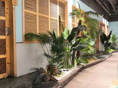 -春润大地海南椰子鸡(沙井京基百纳广场店)