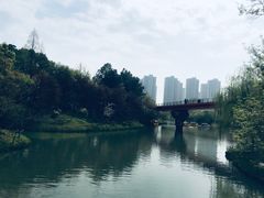 -青枫公园