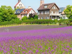 -花博汇(知音花月夜)