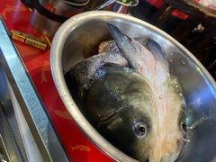 -好灶头妈妈菜·柴火灶台鱼·千岛湖土菜地标美食