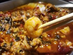 -鱼酷活鱼烤鱼(沈阳大悦城店)