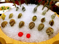 -海通1号(梅峰店)