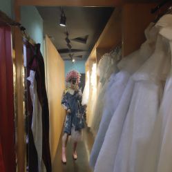 -索菲亚摄影会所