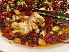 -三猫黑鱼花(南大店)