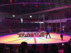 -西安秦岭野生动物园