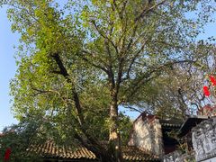 -国恩寺