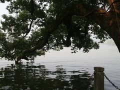 -苏堤停车场