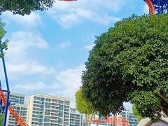 -温州乐园