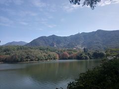 -深圳仙湖植物园-停车场