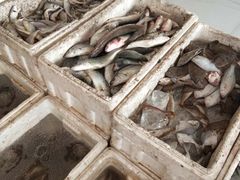 -四海蒸鲜蒸汽海鲜自助(北戴河店)