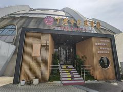 -丁老爷子苏香圆