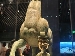 -广西壮族自治区博物馆