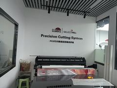 -龙膜全球臻选店·汽车贴膜·隐形车衣