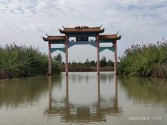 -泗洪洪泽湖湿地景区