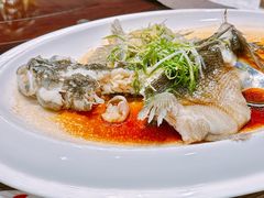 -顺德了能馆(虎门店)