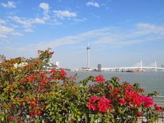 -澳门环岛游湾仔码头