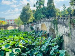 -水绘园