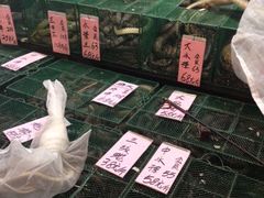 -荔城生鲜盛宴(番禺旗舰店)