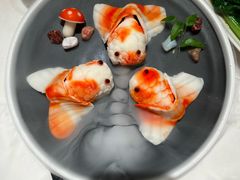 -粤来记·啫啫煲·点心(日月光店)