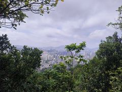 -狮子山郊野公园