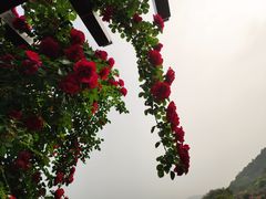 -龙寺生态园