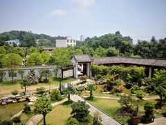 环境-绿色菜园·农家土菜(贤山店)