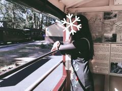 -普芬比利蒸汽火车