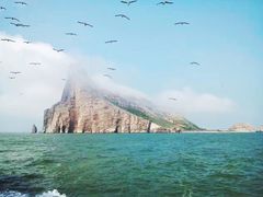 -长岛万鸟岛