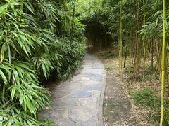 -皇家御河游(紫御湾码头)
