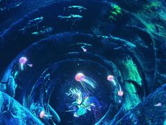 -海合安成都极地海洋公园