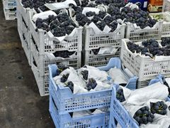 -西郊国际农产品交易中心