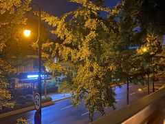 -LAMP BAR 水烟音乐酒吧