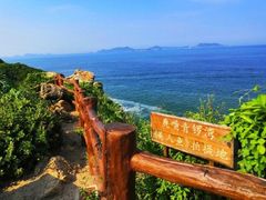 -杨梅坑